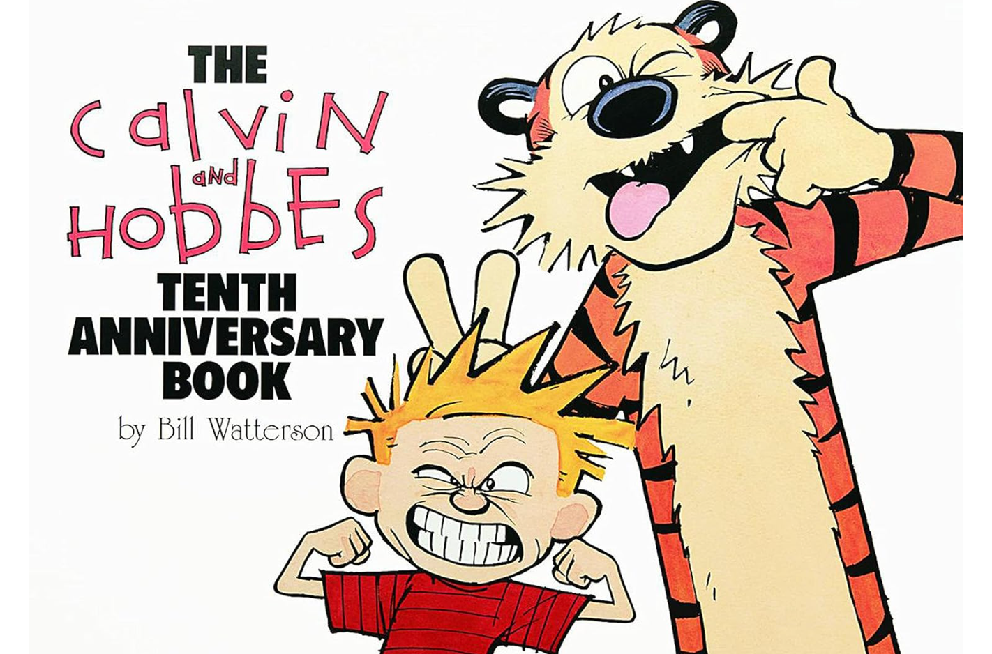 the cover of The Calvin and Hobbes Tenth Anniversay book, showing cartoons of a little boy and tiger making faces